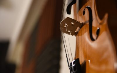 Cellist*in / Cello gesucht